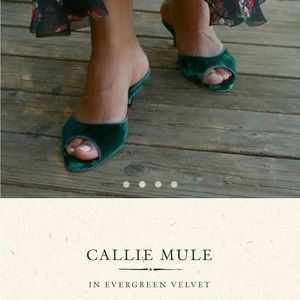 New in box DOEN Callie mule in evergreen velvet 37.5